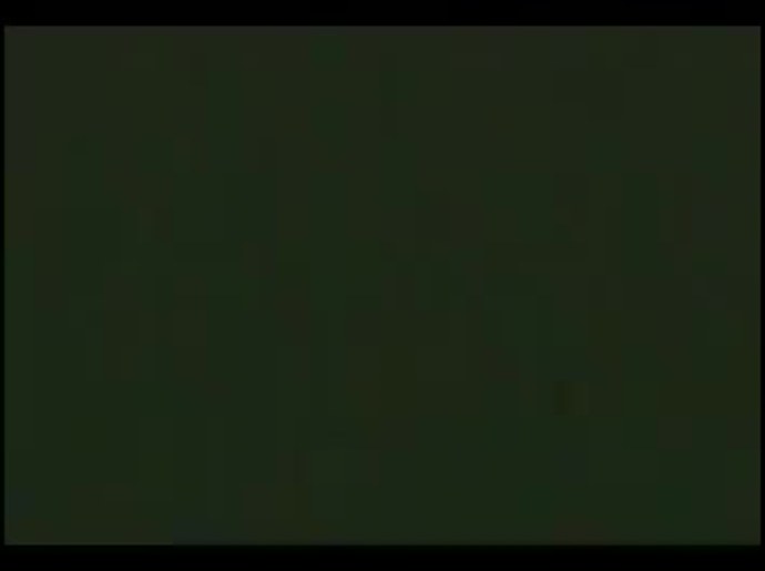 Алиса Дырда