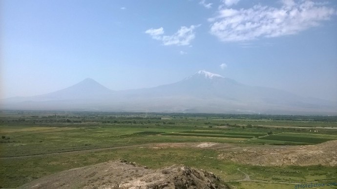 Гаяне Варданян 24 апреля