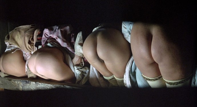 Ромина маласпинаголая