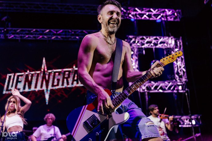 Whygena Reggie лиса