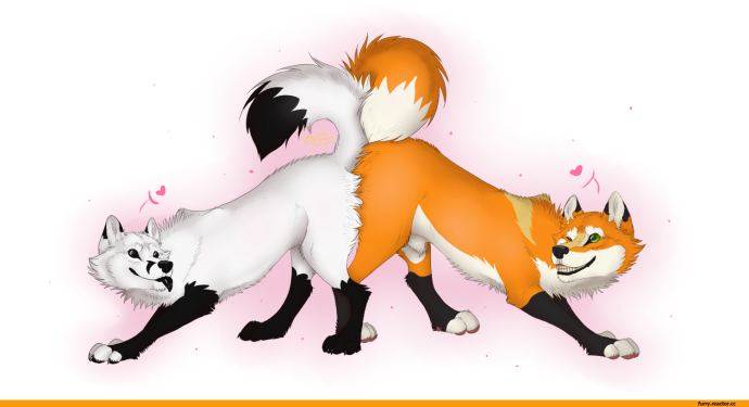 Группировка Ленинград плакат