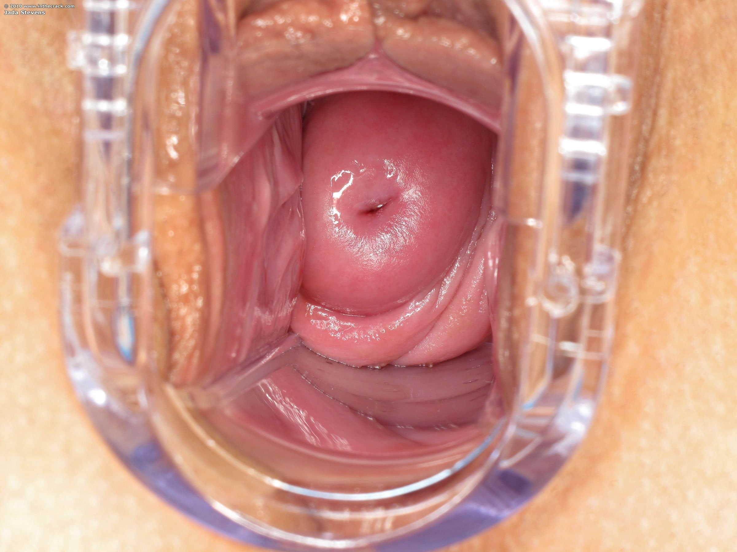 вагина из изнутри порно фото 9