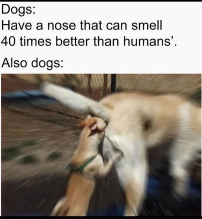 Признание в любви на асфальте