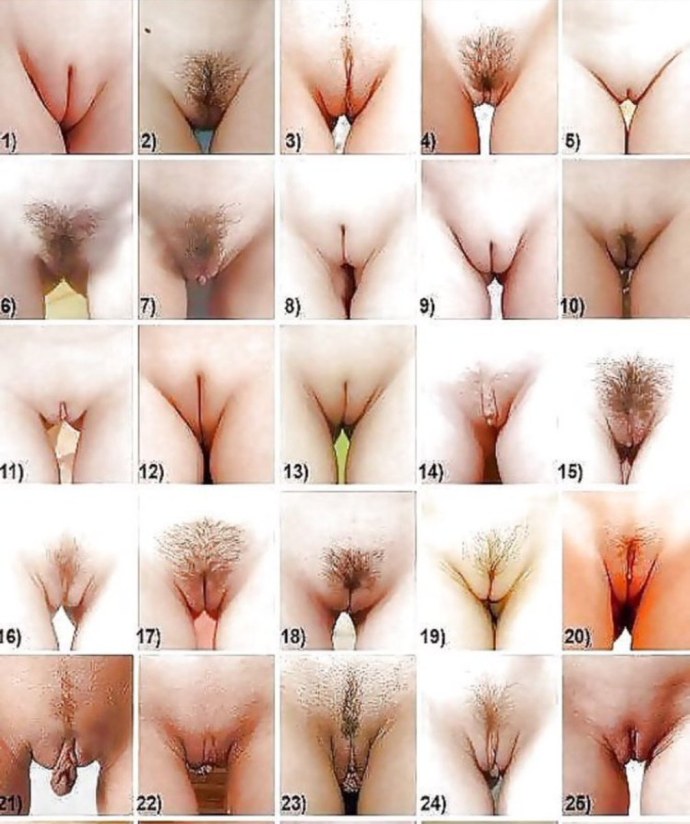 Формы женских половых органов