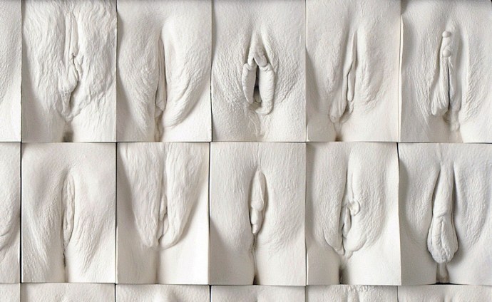 Формы женских влагалищ