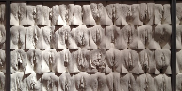 Маленькие половые губки