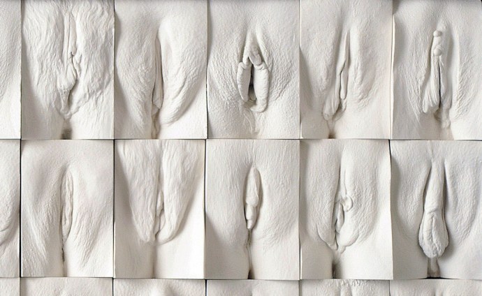 Женские вагины разных рас