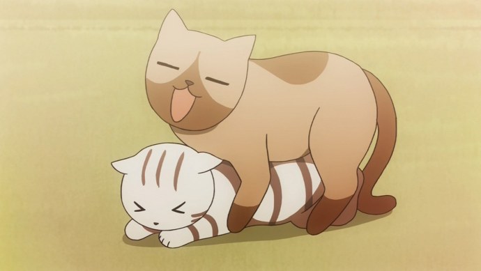 Котята аниме