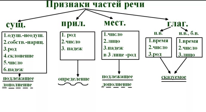 Грамматические признаки частей речи таблица