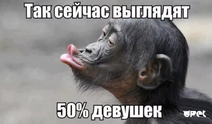 Смешно до слез