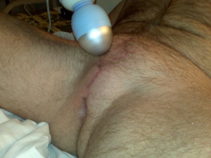 Султан Сулейман и гарем