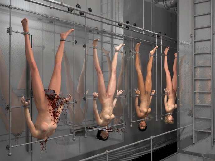 Fansadox collection комиксы бдсм