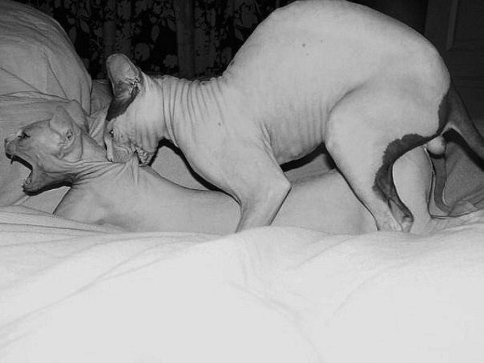 Детские загадки из журнала Мурзилка с ответами