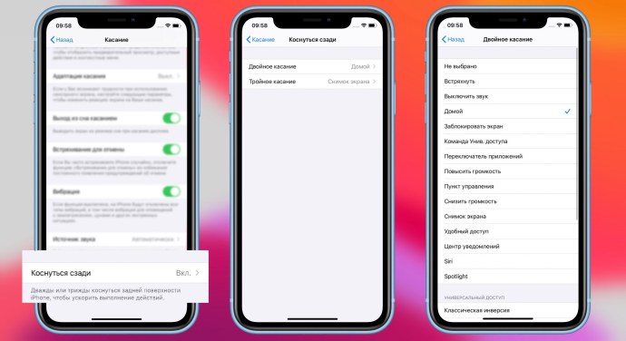 Клетка животного строение и функции