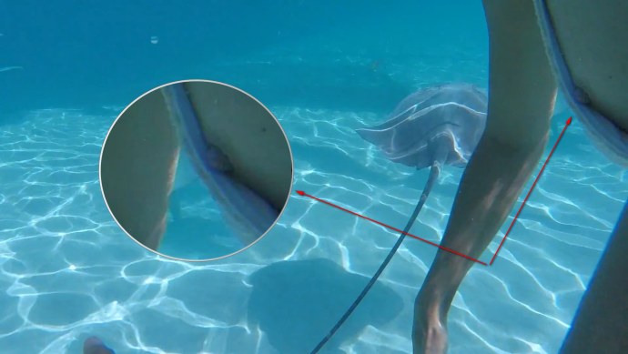 Регина Тодоренко горячие