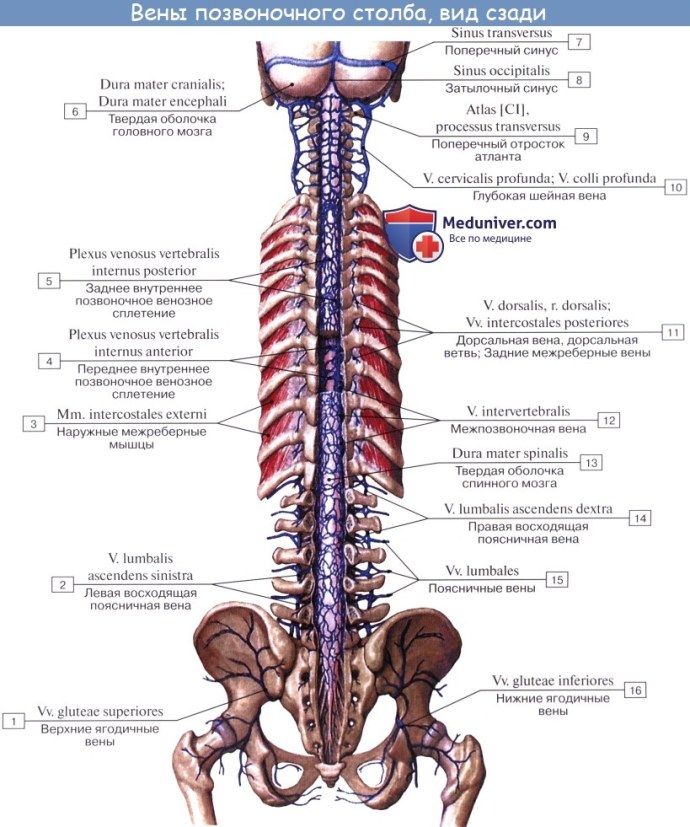 Двойное проникновение снизу