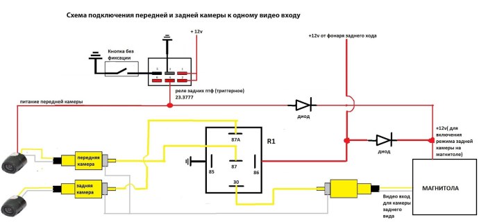 Схема дорсальной поверхности мозгового ствола