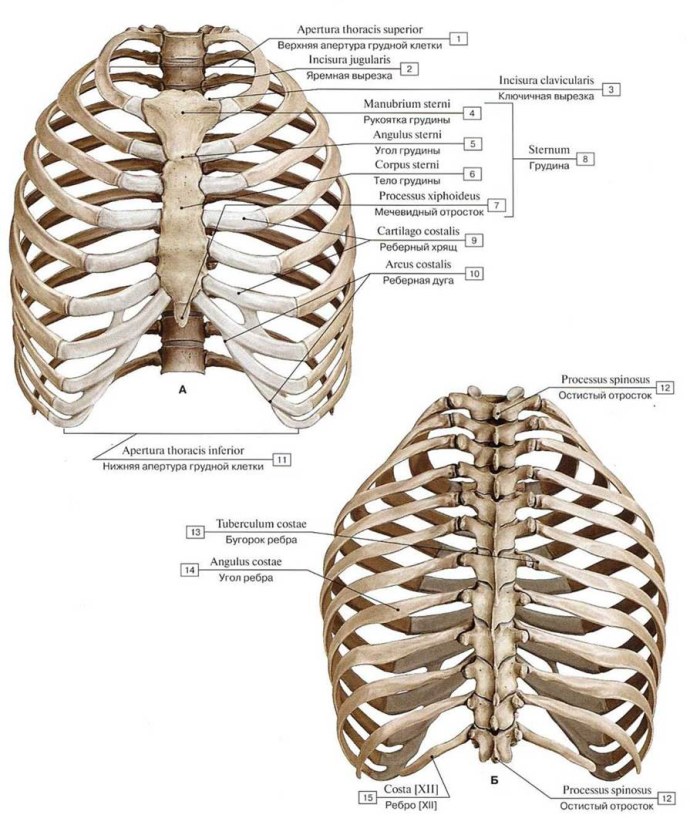 Козак мамай картина