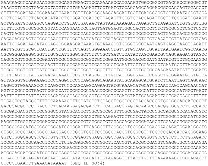 Контракт с незнакомкой фильм 2007