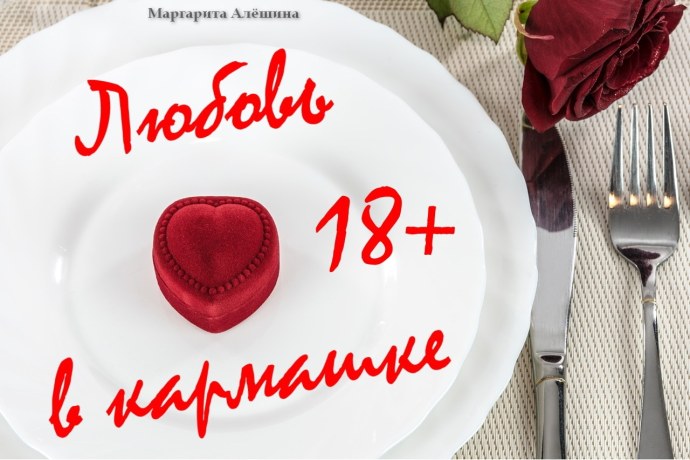 Любовь в кармашке читать онлайн бесплатно полностью