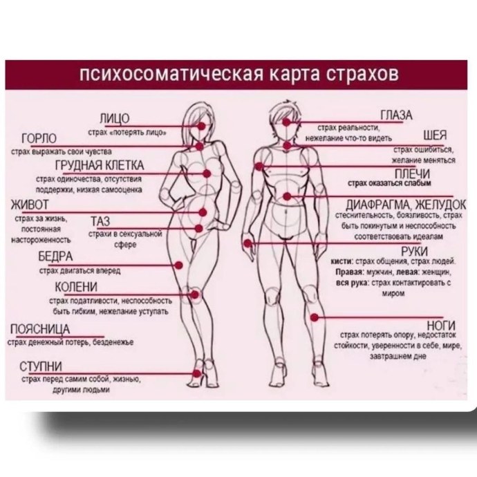 Чувствительные зоны у женщин