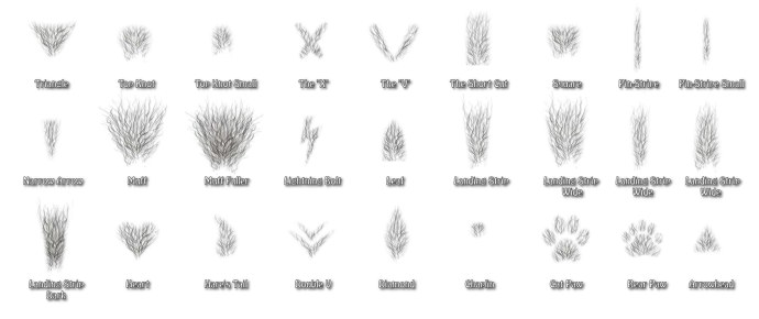 Формы и разновидности кисок