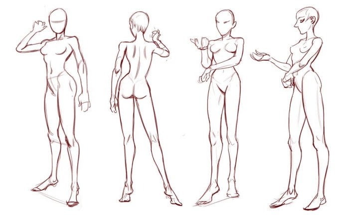 Анатомия референс в полный рост