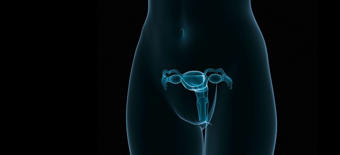 Фон для презентации по гинекологии