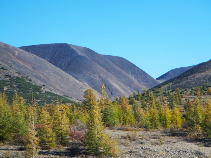 Русские женщины домашнее