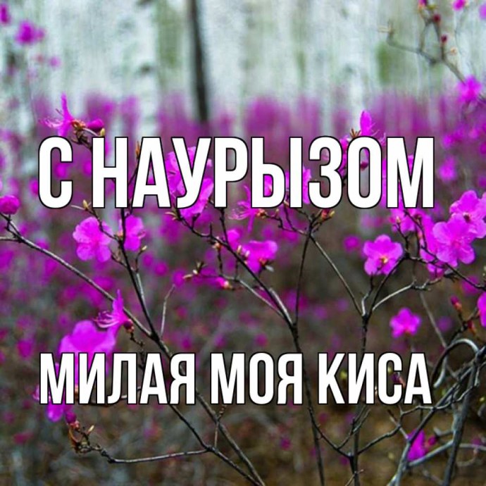 Доброе утро тигр