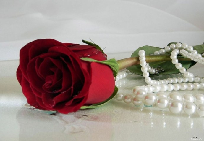 Усть Камчатск рыбалка