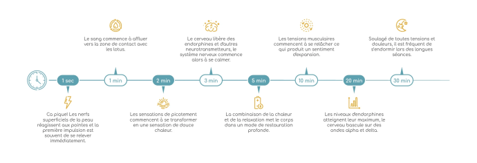 Статистика по запросам в Яндексе по регионам РФ