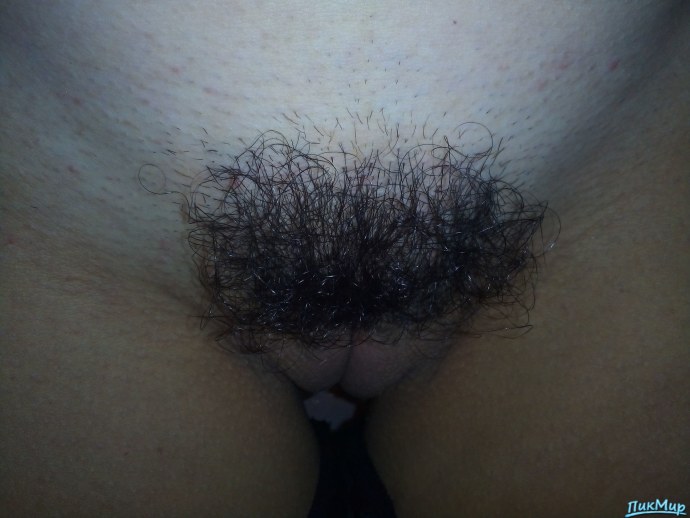 Жену в волосатую писечку