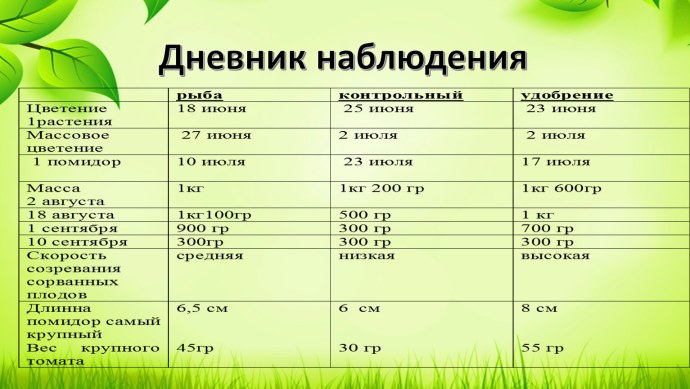 Дневник наблюдений за растениями