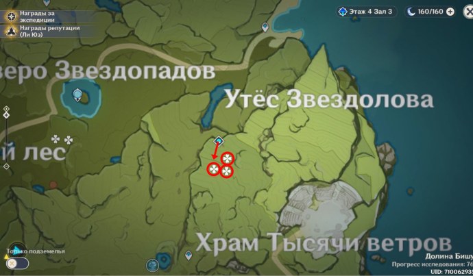 Геншин Импакт Утес звездолова