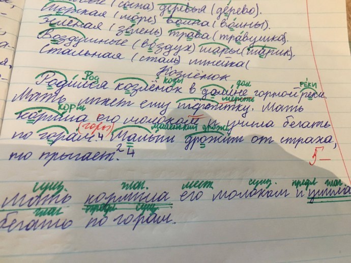 Журналистка Алиса Харчева