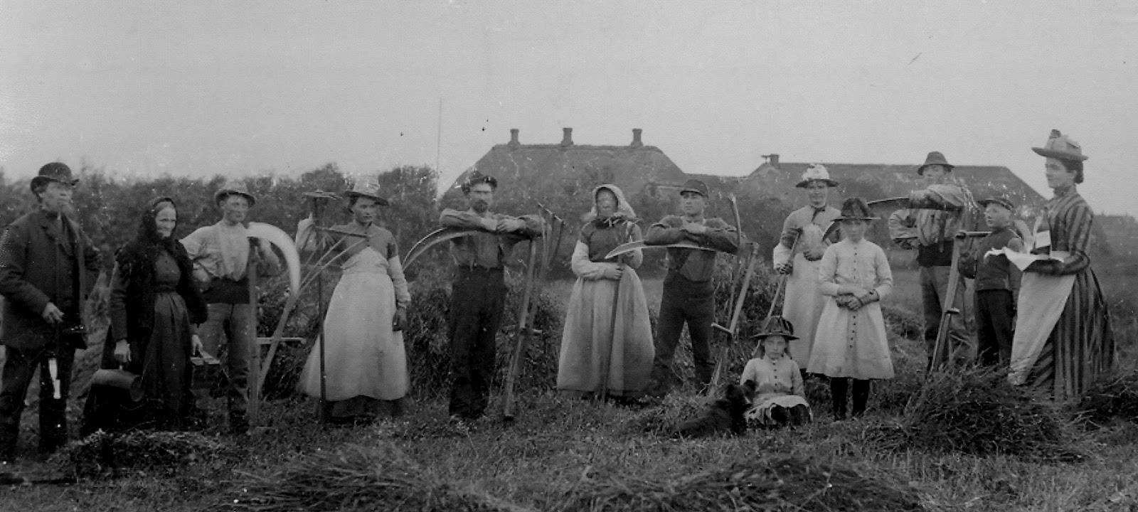 Хозяйства 19. Сельское хозяйство Германия 19 век. Германия немецкие крестьяне 19 века. Германские крестьяне 19 век. Сельское хозяйство Германии в начале 20 века.