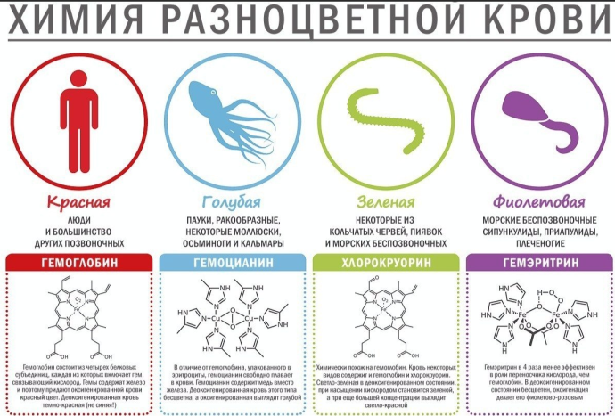 Гидра ссылка даркнет hydrarusikwpnew4afonion com
