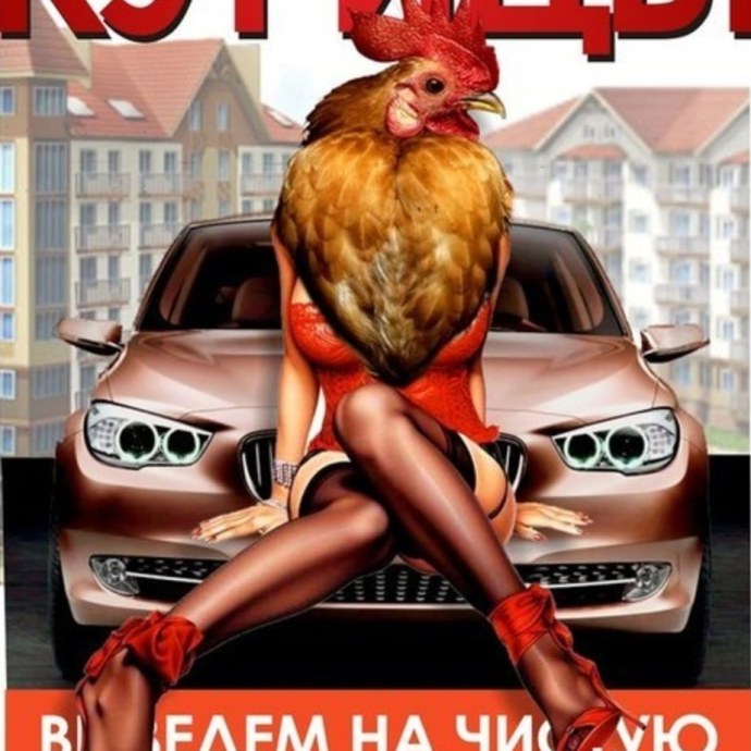 Группа курицы