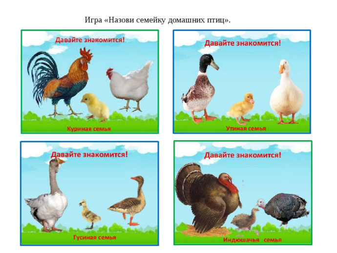 Слив молодых