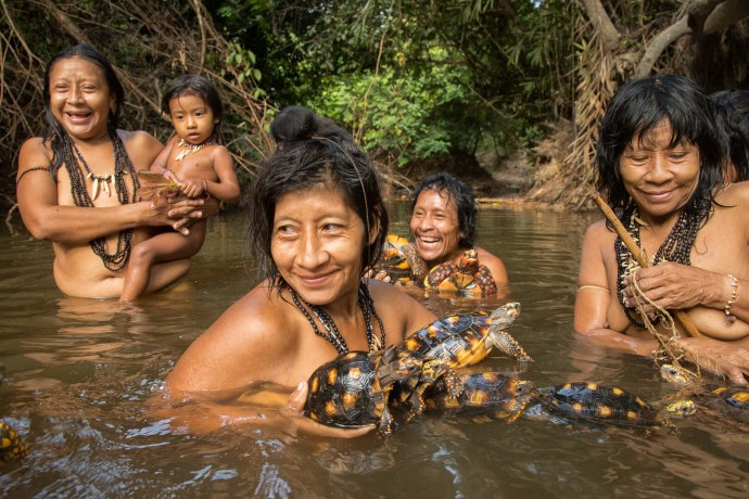 Папуасы голыемаленькиедевочькидети