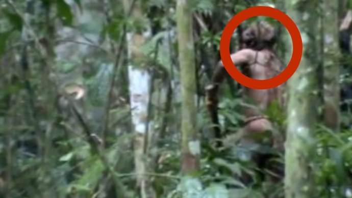 Неконтактные индейцы Амазонии