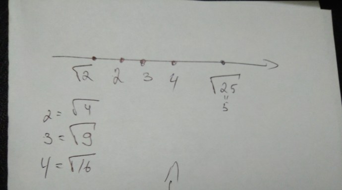 Пышки в купальниках красивые фото вид сзади