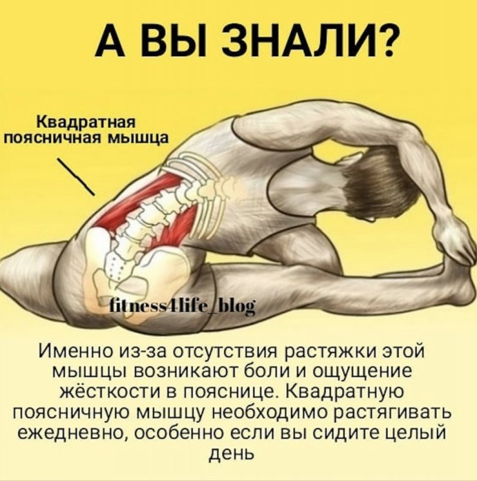 Растягивание квадратной мышцы поясницы