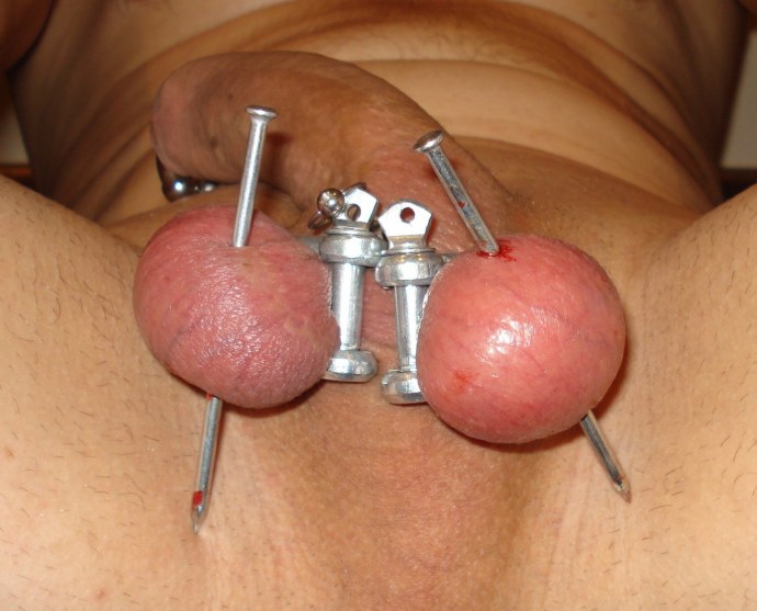 Принц Альберт прокалывание