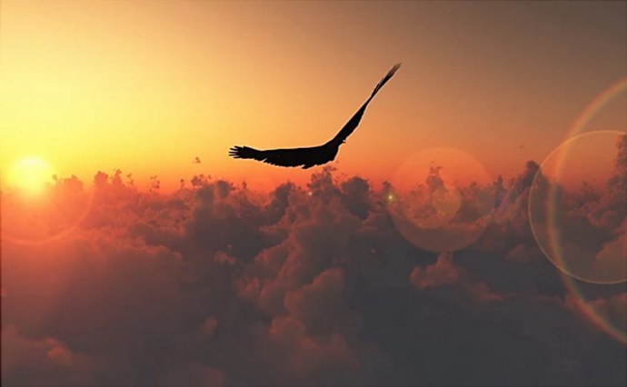 Раффаелла порноактоиса