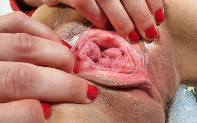 Внутренности влагалища