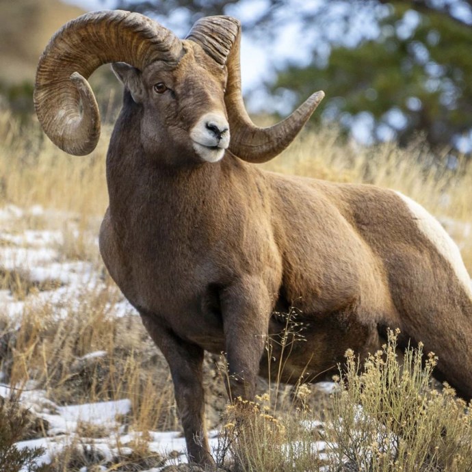 Дилан Райдер секретарша