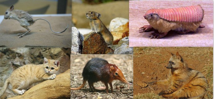 Гиф loading complete