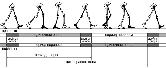 Офисное кресло чертеж ДВГ